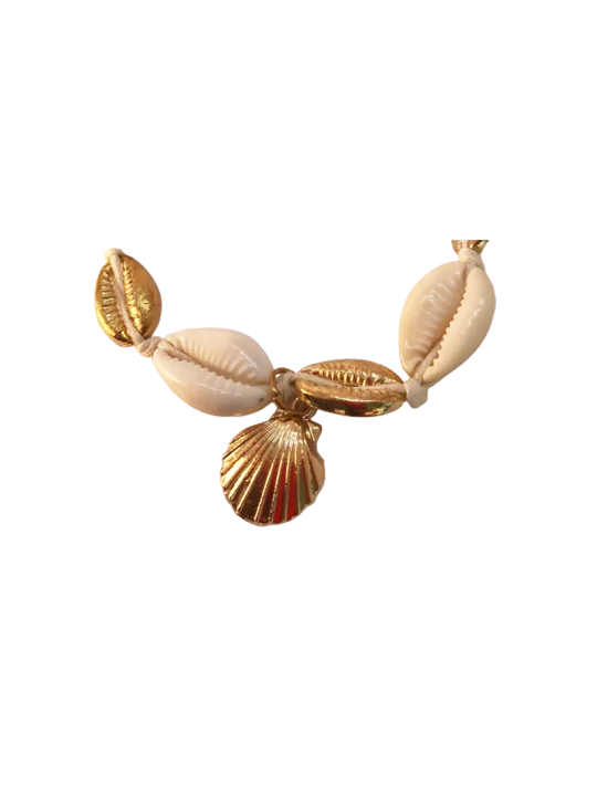 Brazalete de conchas marinas 