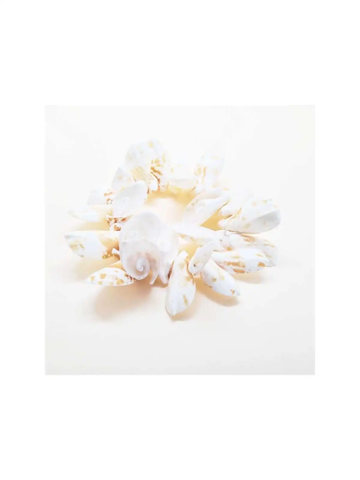 Brazalete de conchas marinas especiales