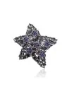 Broche de estrella brillante