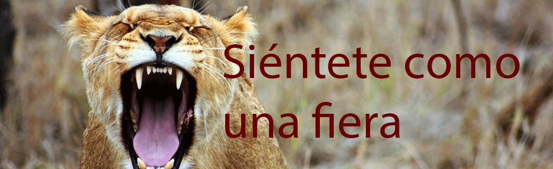 siente como la bisuteria te da fuerza interior al sentirte mas bella